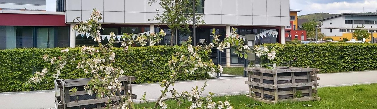 Header CampusKids